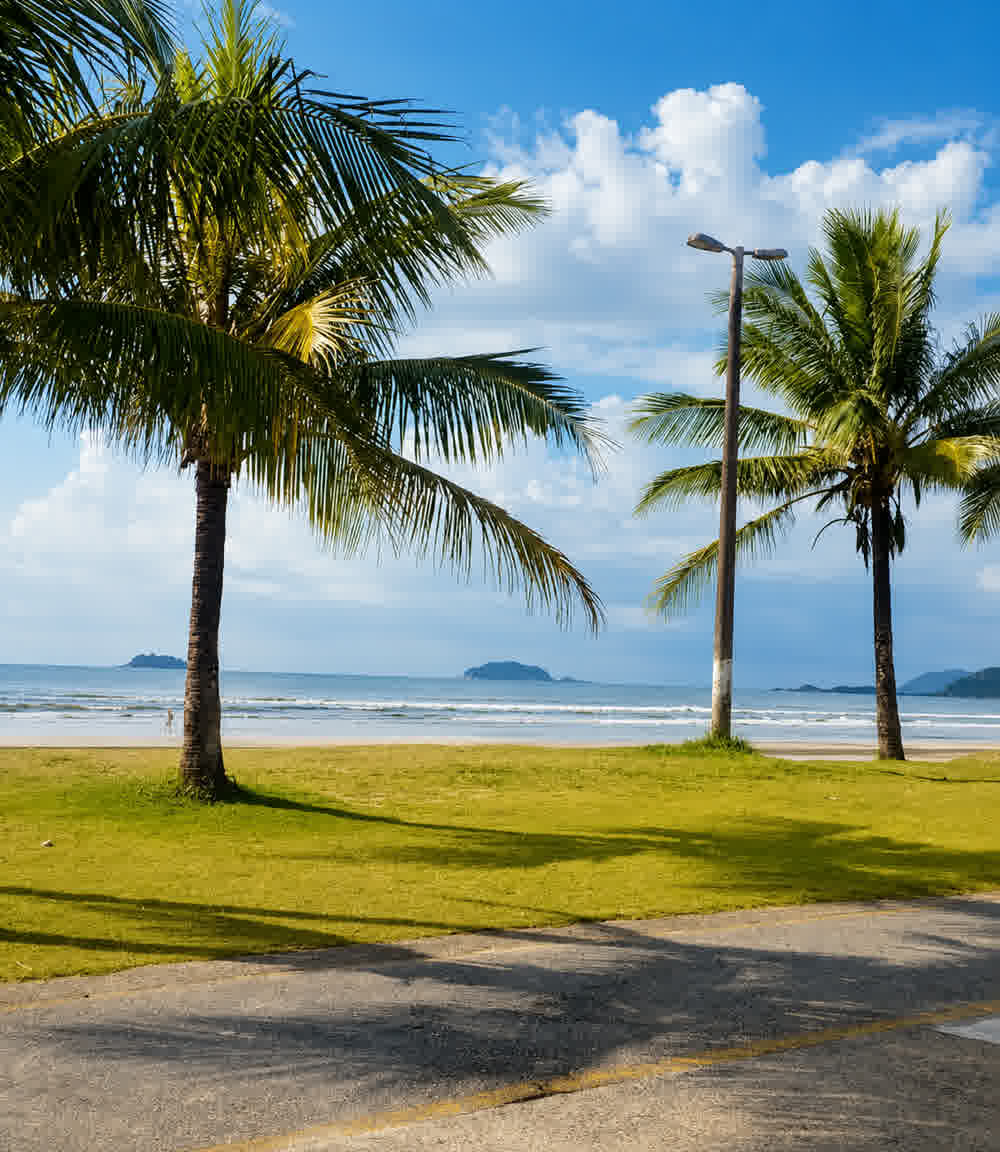 Praia de Peruíbe com coqueiros